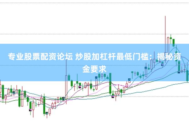 专业股票配资论坛 炒股加杠杆最低门槛：揭秘资金要求