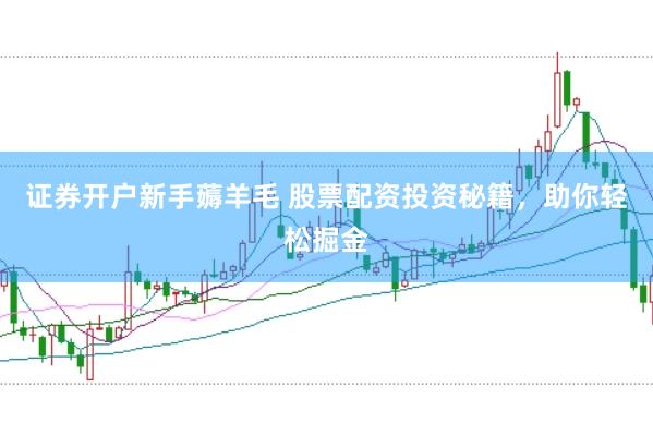 证券开户新手薅羊毛 股票配资投资秘籍，助你轻松掘金