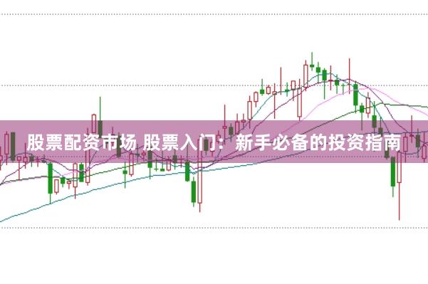 股票配资市场 股票入门：新手必备的投资指南