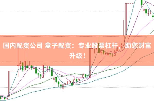 国内配资公司 盒子配资：专业股票杠杆，助您财富升级！