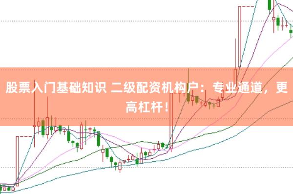 股票入门基础知识 二级配资机构户：专业通道，更高杠杆！