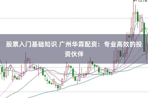 股票入门基础知识 广州华霖配资：专业高效的投资伙伴