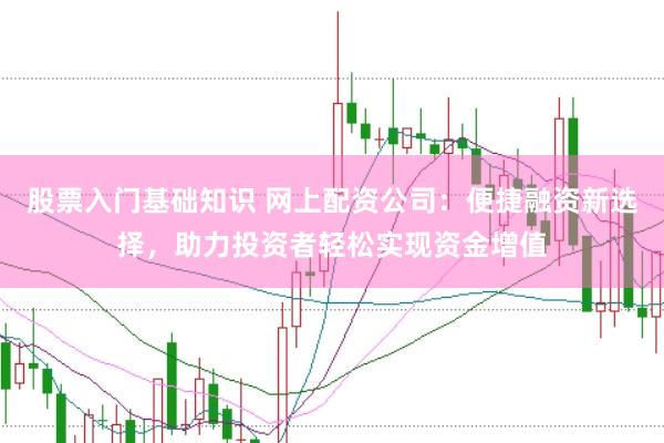 股票入门基础知识 网上配资公司：便捷融资新选择，助力投资者轻松实现资金增值