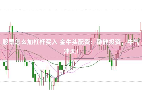 股票怎么加杠杆买入 金牛头配资：稳健投资，牛气冲天！