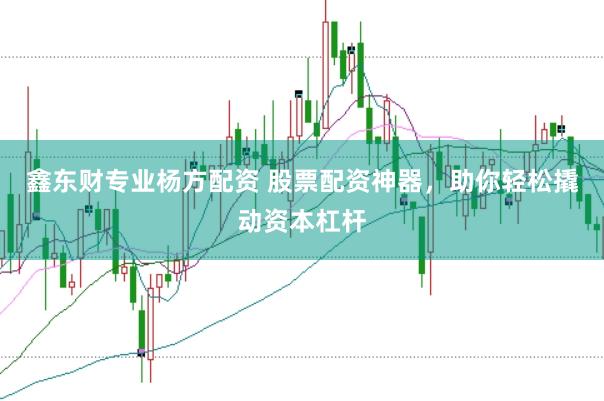 鑫东财专业杨方配资 股票配资神器，助你轻松撬动资本杠杆