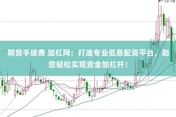 期货手续费 加杠网：打造专业低息配资平台，助您轻松实现资金加杠杆！