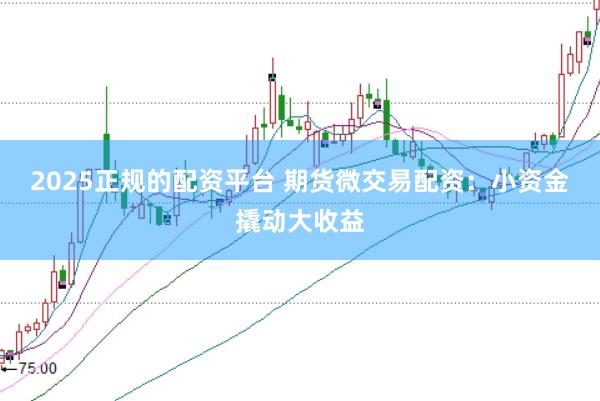 2025正规的配资平台 期货微交易配资：小资金撬动大收益