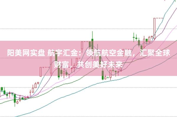 阳美网实盘 航宇汇金：领航航空金融，汇聚全球财富，共创美好未来
