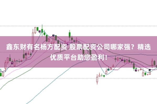 鑫东财有名杨方配资 股票配资公司哪家强？精选优质平台助您盈利！
