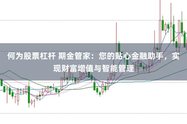 何为股票杠杆 期金管家：您的贴心金融助手，实现财富增值与智能管理