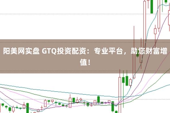 阳美网实盘 GTQ投资配资：专业平台，助您财富增值！