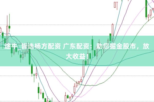 途牛_皆选杨方配资 广东配资：助您掘金股市，放大收益！