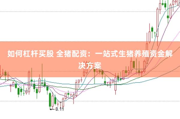 如何杠杆买股 全猪配资：一站式生猪养殖资金解决方案