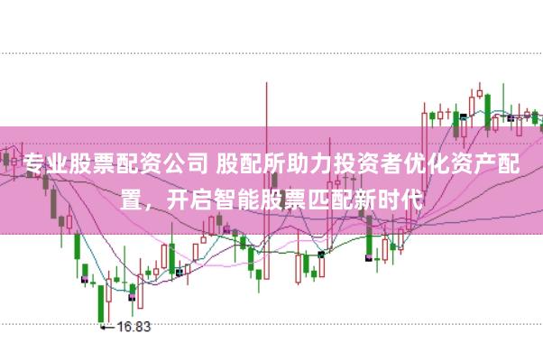 专业股票配资公司 股配所助力投资者优化资产配置，开启智能股票匹配新时代
