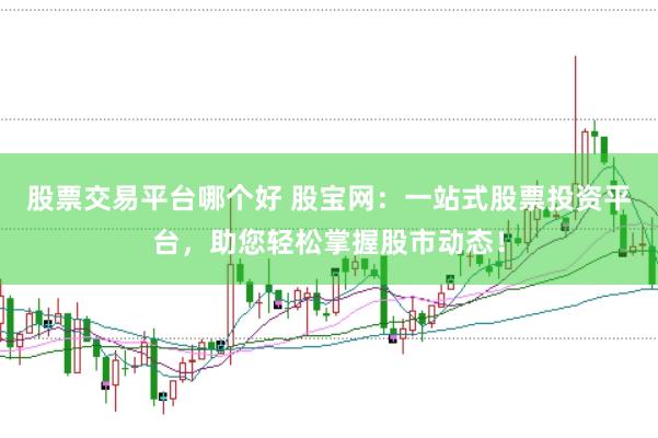 股票交易平台哪个好 股宝网：一站式股票投资平台，助您轻松掌握股市动态！