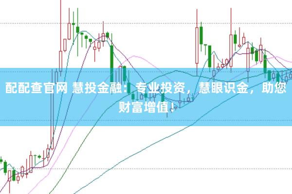 配配查官网 慧投金融:专业投资,慧眼识金,助您财富增值!