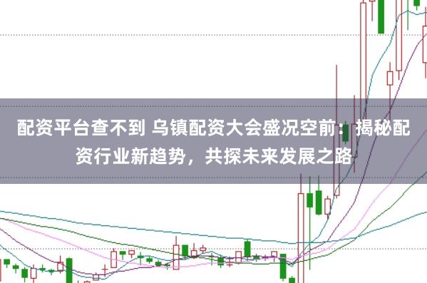 配资平台查不到 乌镇配资大会盛况空前：揭秘配资行业新趋势，共探未来发展之路