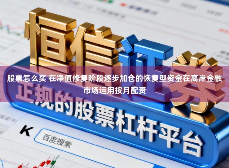 股票怎么买 在净值修复阶段逐步加仓的恢复型资金在离岸金融市场运用按月配资